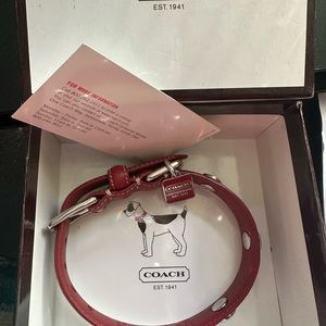 XS coach dog collar IOB